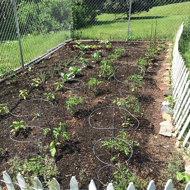 Early Garden